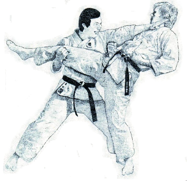 Jujitsu-Combat